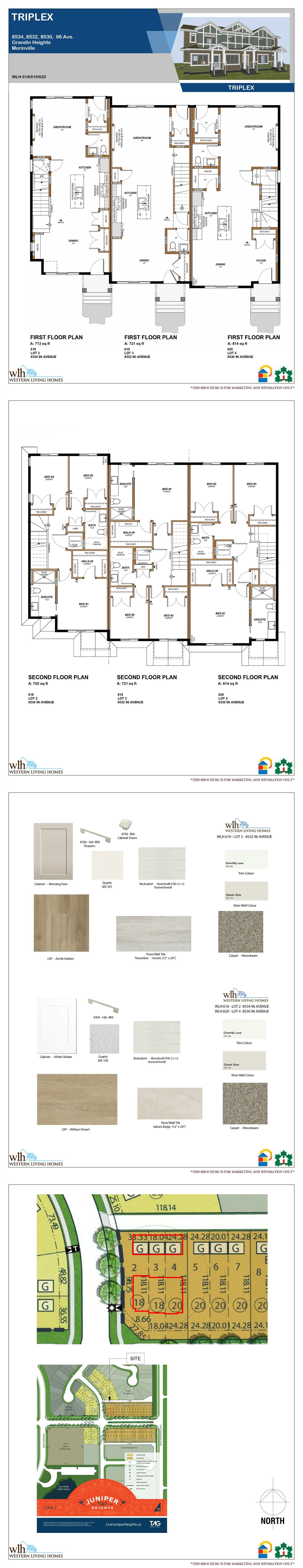 Triplex floor plan and 3D elevation